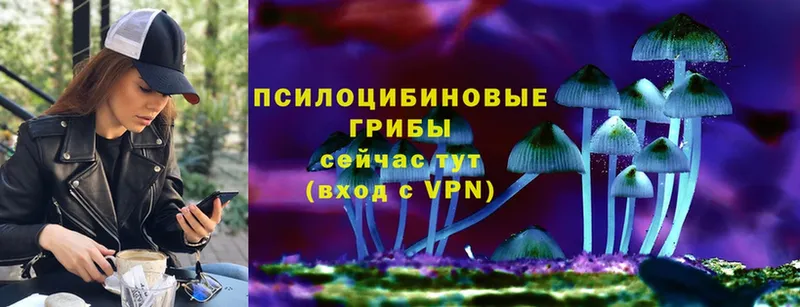 Псилоцибиновые грибы Psilocybine cubensis  наркота  hydra ССЫЛКА  Нестеровская 